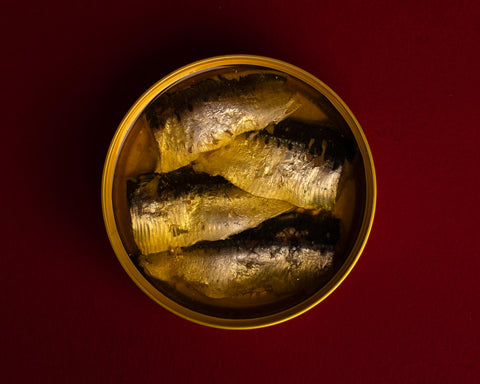 A circular open golden tin of sardines in olive oil, against a dark red background.