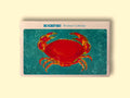 A tin of crab in off-white card packagin with a painting of a vivid orange crab against a clear light blue sea background. The painting is beneath Rockfish Brixham crabmeat written in blue lettering.