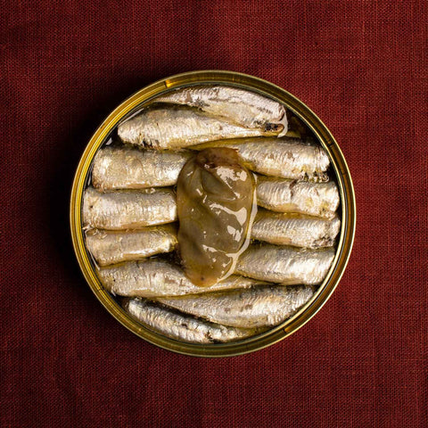 An open tin of small sardines with a Padrón pepper in the center. The tin rests on a wine-red cloth backdrop.