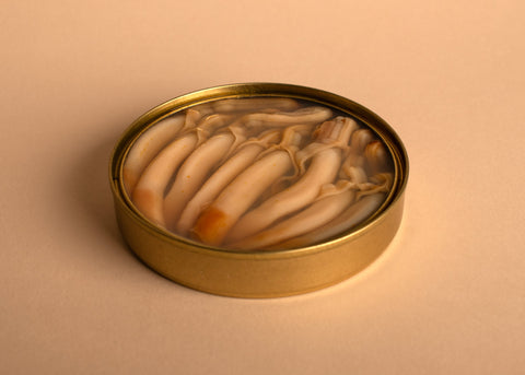 Golden tin of razor clams, the razor shells look delicious and come in a light brine sauce.. the tin is open and displayed on an off-white surface.